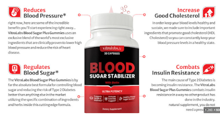 VitraLabs Blood Sugar Stabilizer