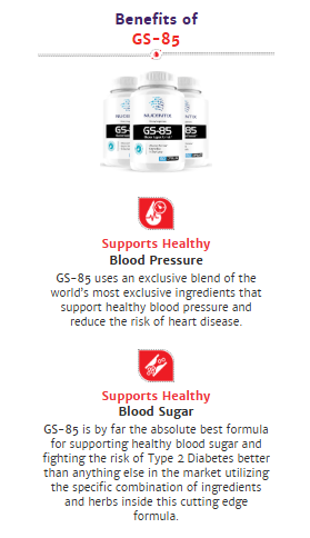 Nucentix GS-85 Glucose Support Formula