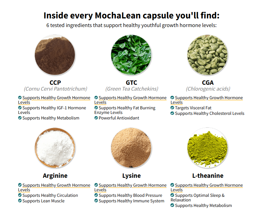 Mocha Lean Weight Loss Support 
