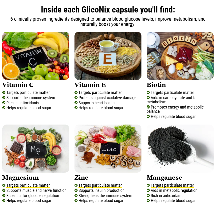 GlicoNix Blood Sugar Support Formula 