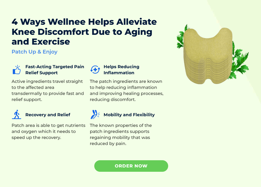 Wellnee Herbal Knee Patch 