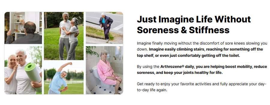 Arthozene Joint Health Remedy 