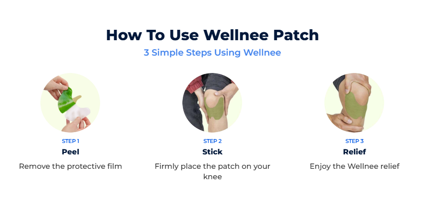 Wellnee Herbal Knee Patch 