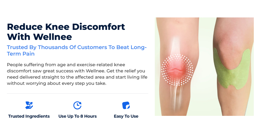 Wellnee Herbal Knee Patch 