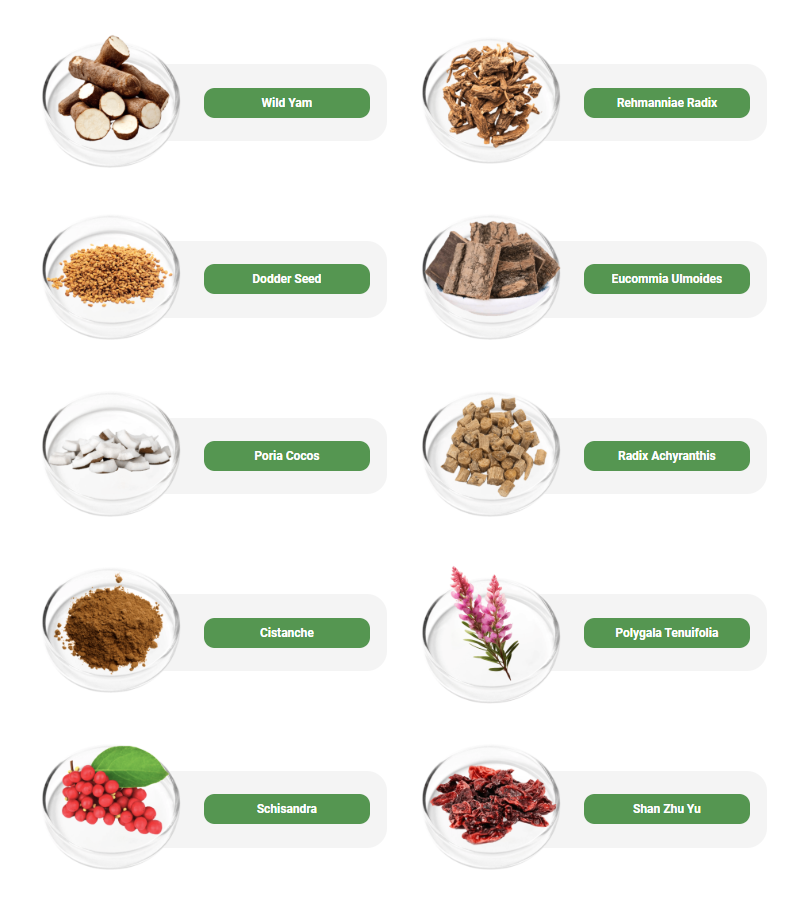 DigestiStart 