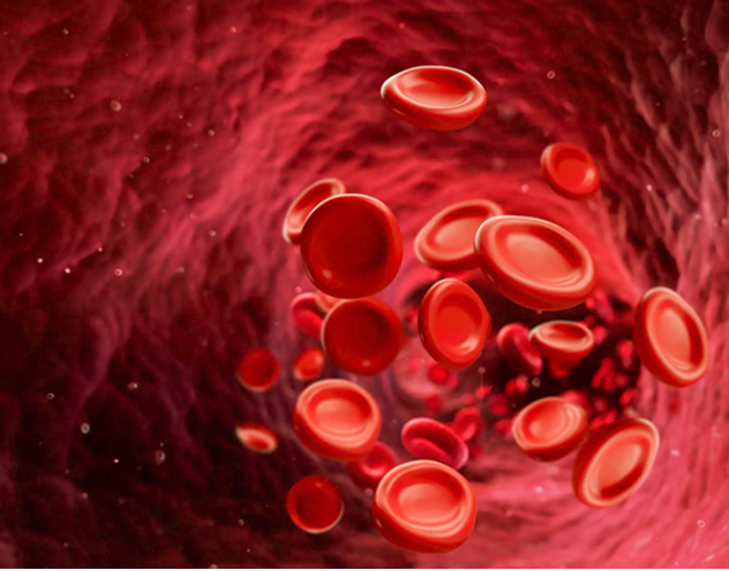 GlycoQ Blood Support 