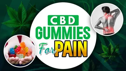 Healthflux CBD Gummies 