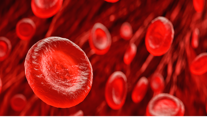 Teniva Blood Balance 