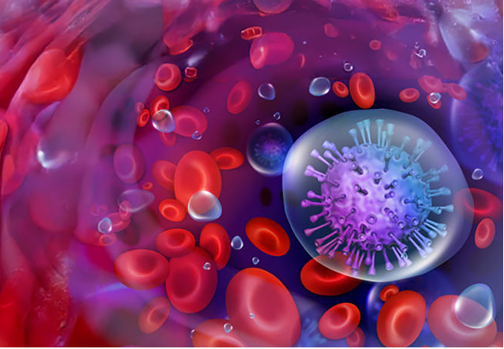 GlycoQ Blood Support 