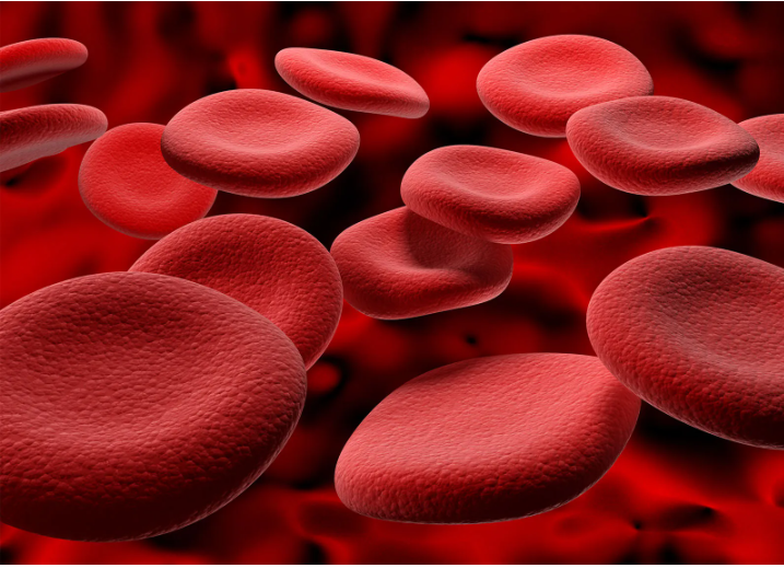 Teniva Blood Balance 